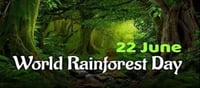Why do we commemorate World Rainforest Day?